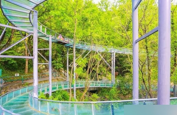 九龙谷森林公园玻璃水滑道项目(图2)