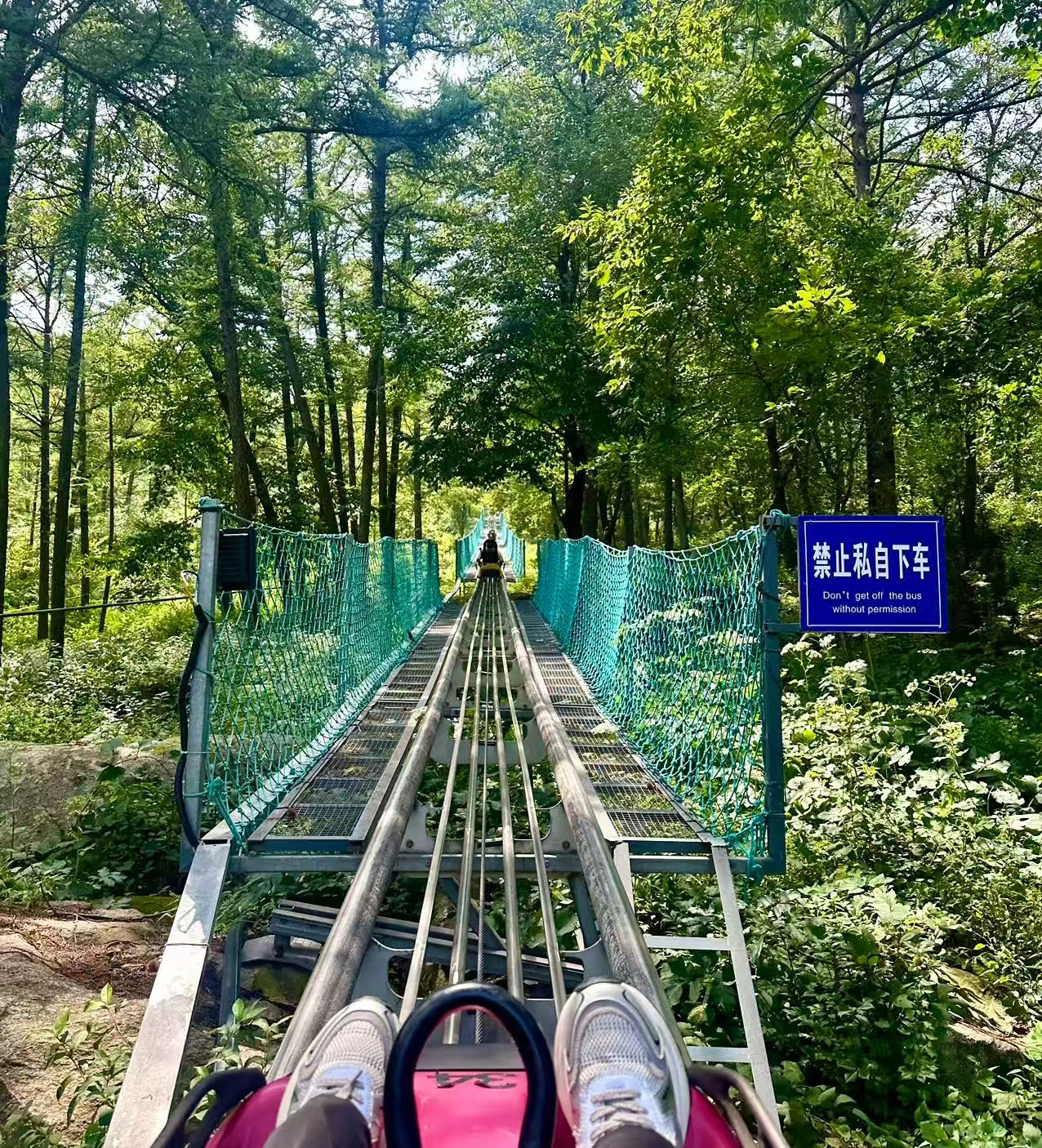 沂蒙山世界地质公园管轨式滑道项目-管轨式滑道设备厂家