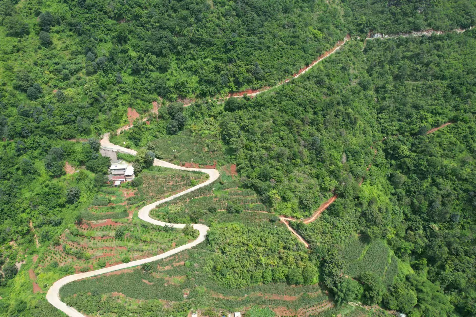2025景区最火网红项目山地滑车，它来啦(图1)