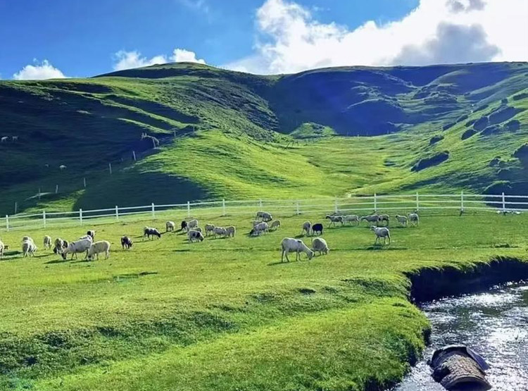 热烈祝贺：公司最新中标云南曲靖市会